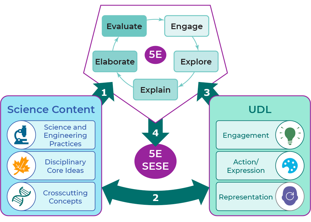 5E-SESE model