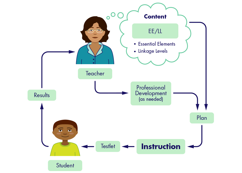 instructionally embedded assessment process
