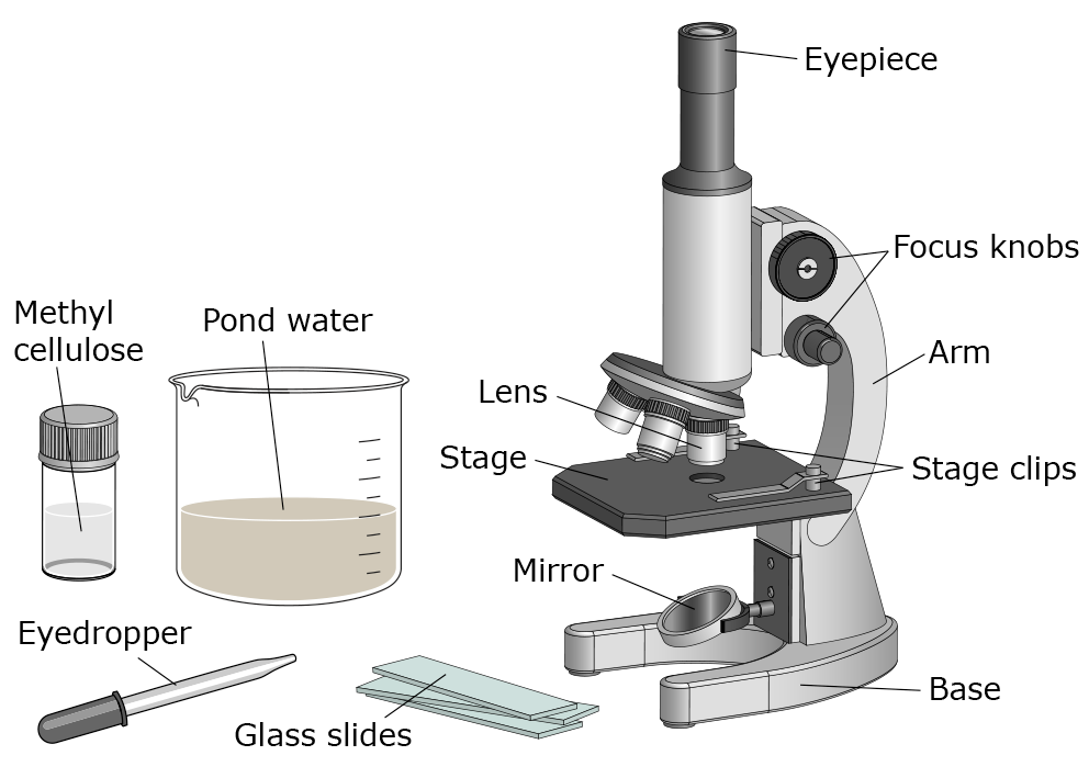 microscope and science equipment